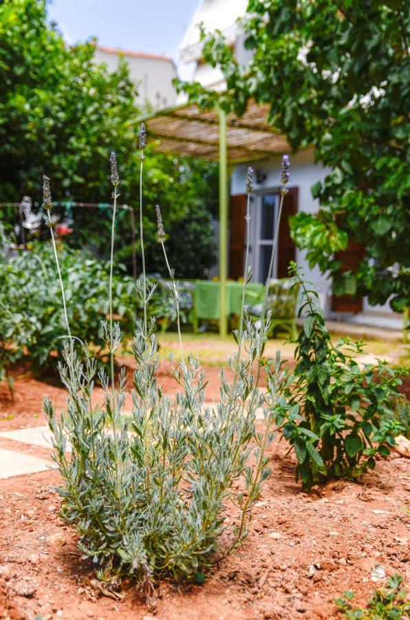 Gaia Residence Hersonissos  Exterior photo